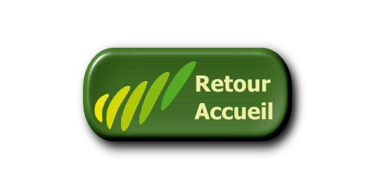 bouton retour accueil
